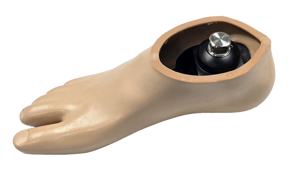 1119 Prime Foot w Foot Shell.png