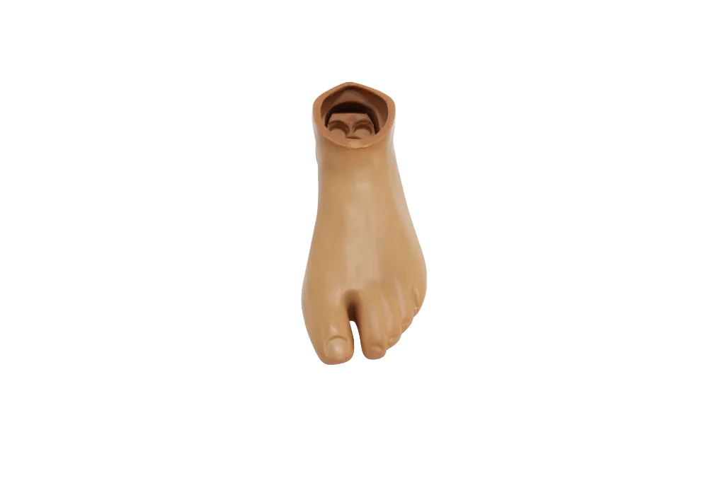 1119_PrimeFoot_Shell_Top.webp