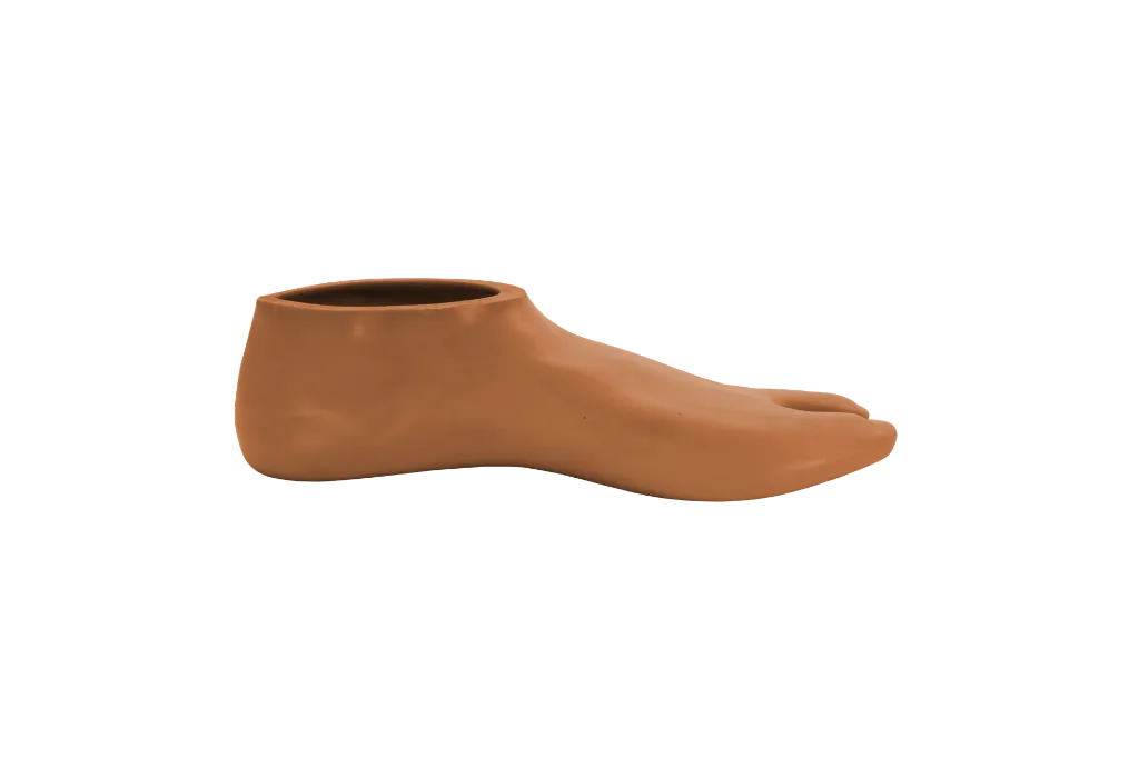 1121 Brown Foot shell.webp
