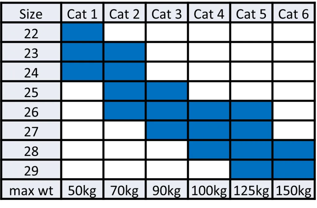Cat Matrix.webp