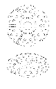 ORBIS_image_2