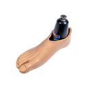 Motion Step Foot