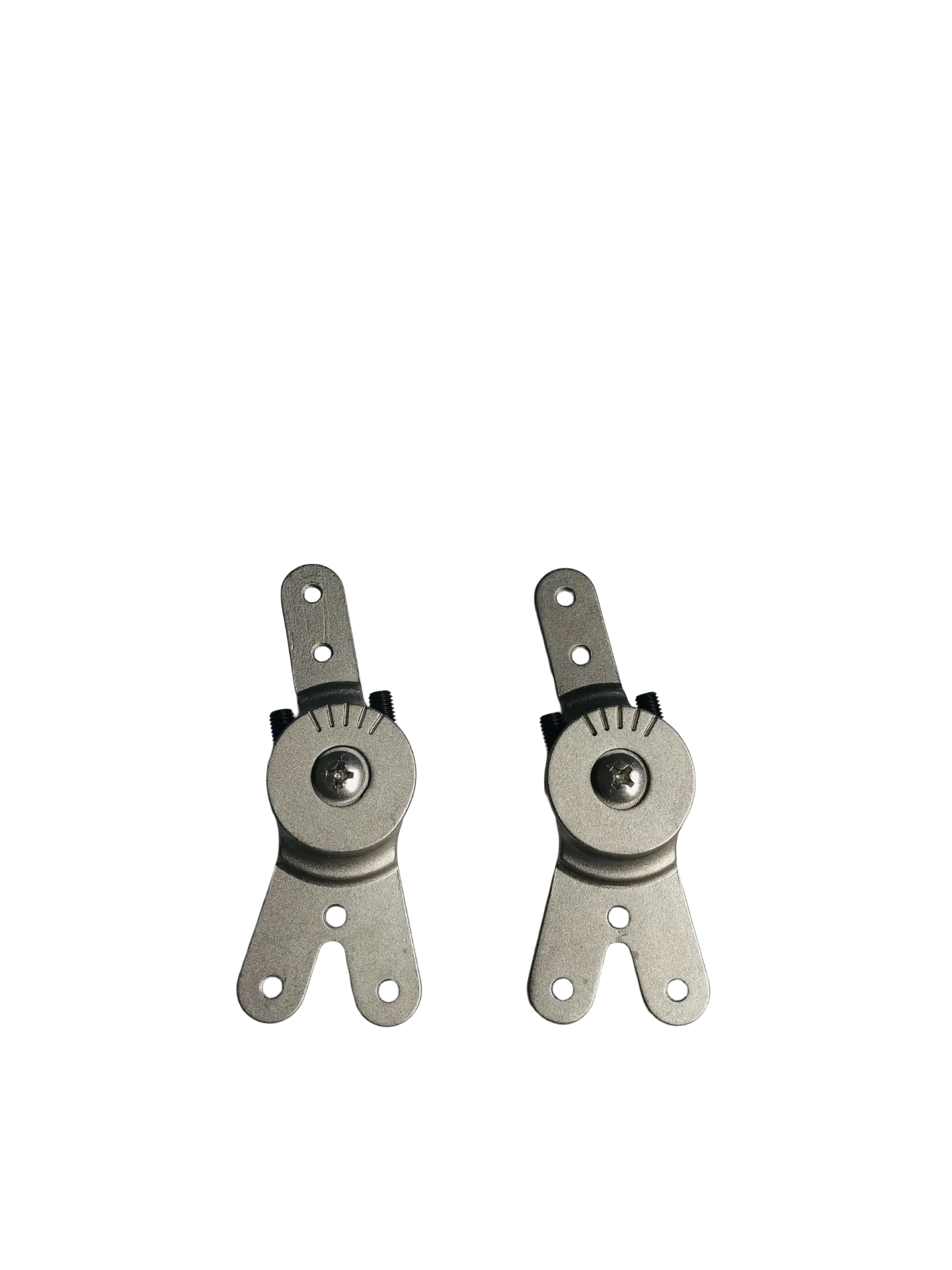 Adult Meridian Ankle Joint